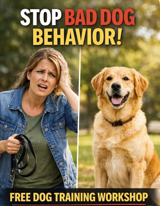 FREE Dog Training Workshop 2026: Teach Your Dog Obedience Fast with Proven Methods
